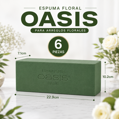 6 Tabiques de Espuma Floral Oasis