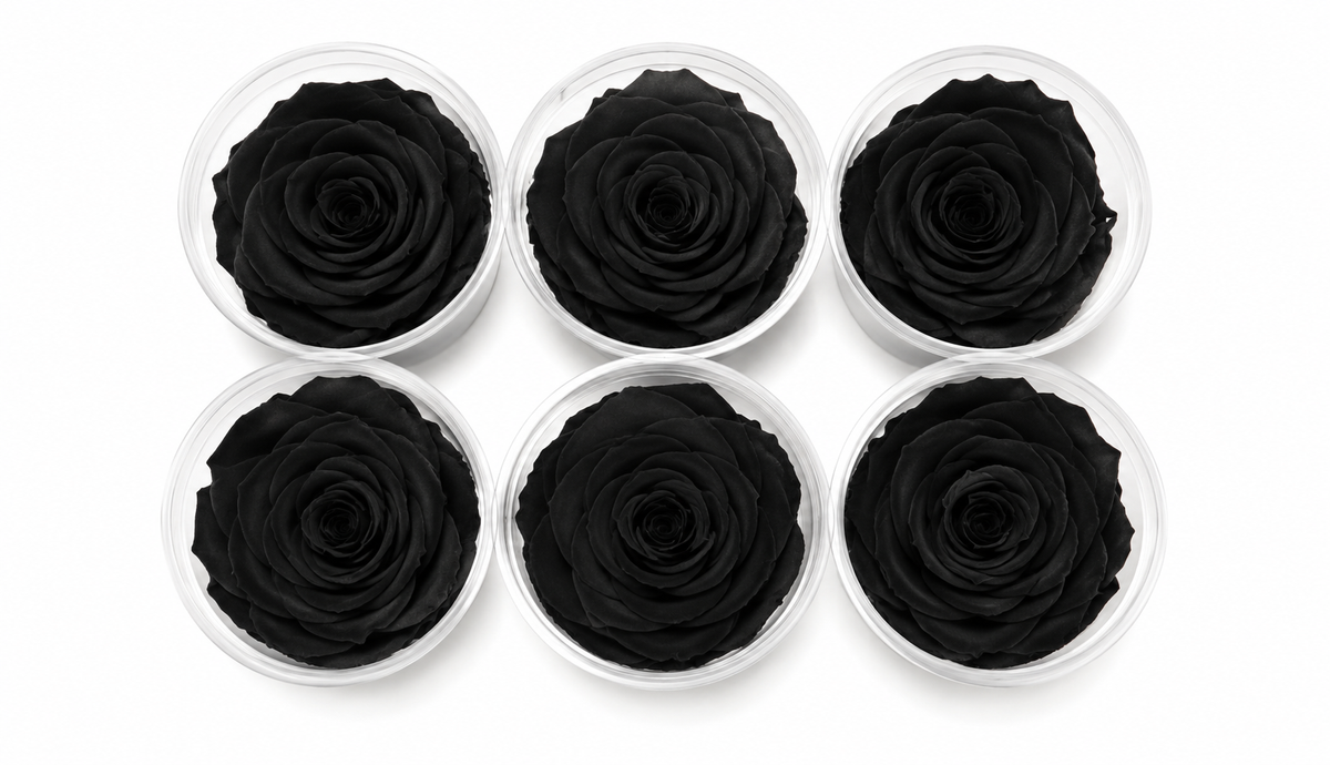 ROSA ETERNA 6 PIEZAS