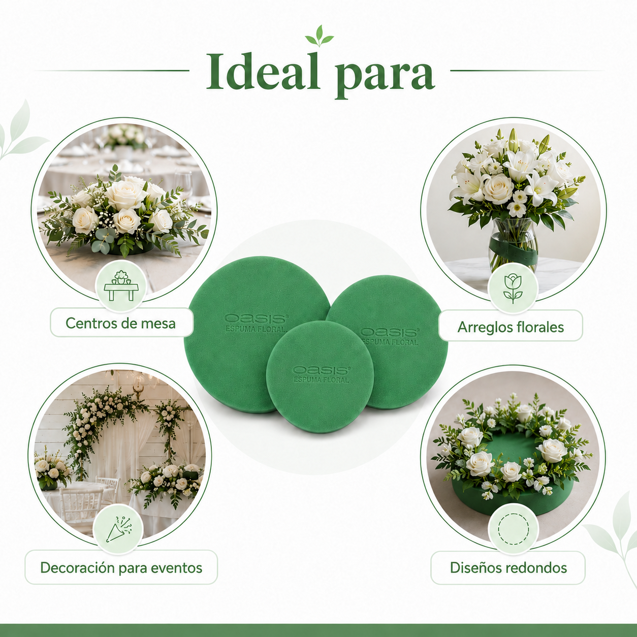 ESPUMA FLORAL OASIS REDONDA ( OASIS )