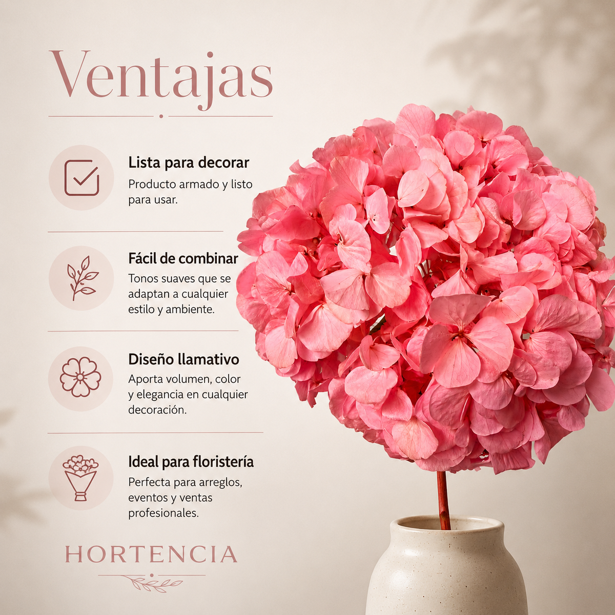 HORTENSIA NATURAL PRESERVADA