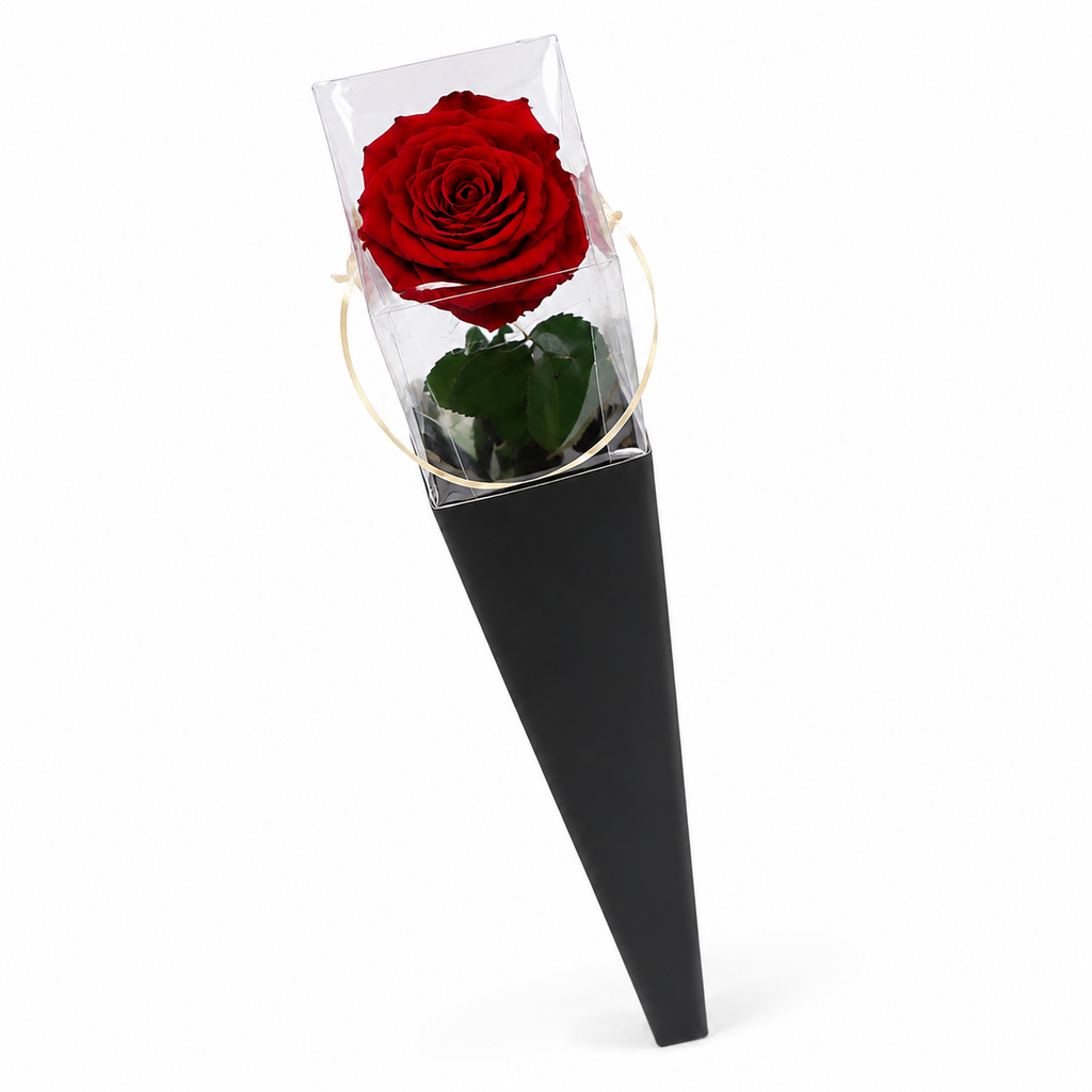 ROSA INDIVIDUAL PRESERVADA EN CONO
