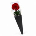 ROSA INDIVIDUAL PRESERVADA EN CONO