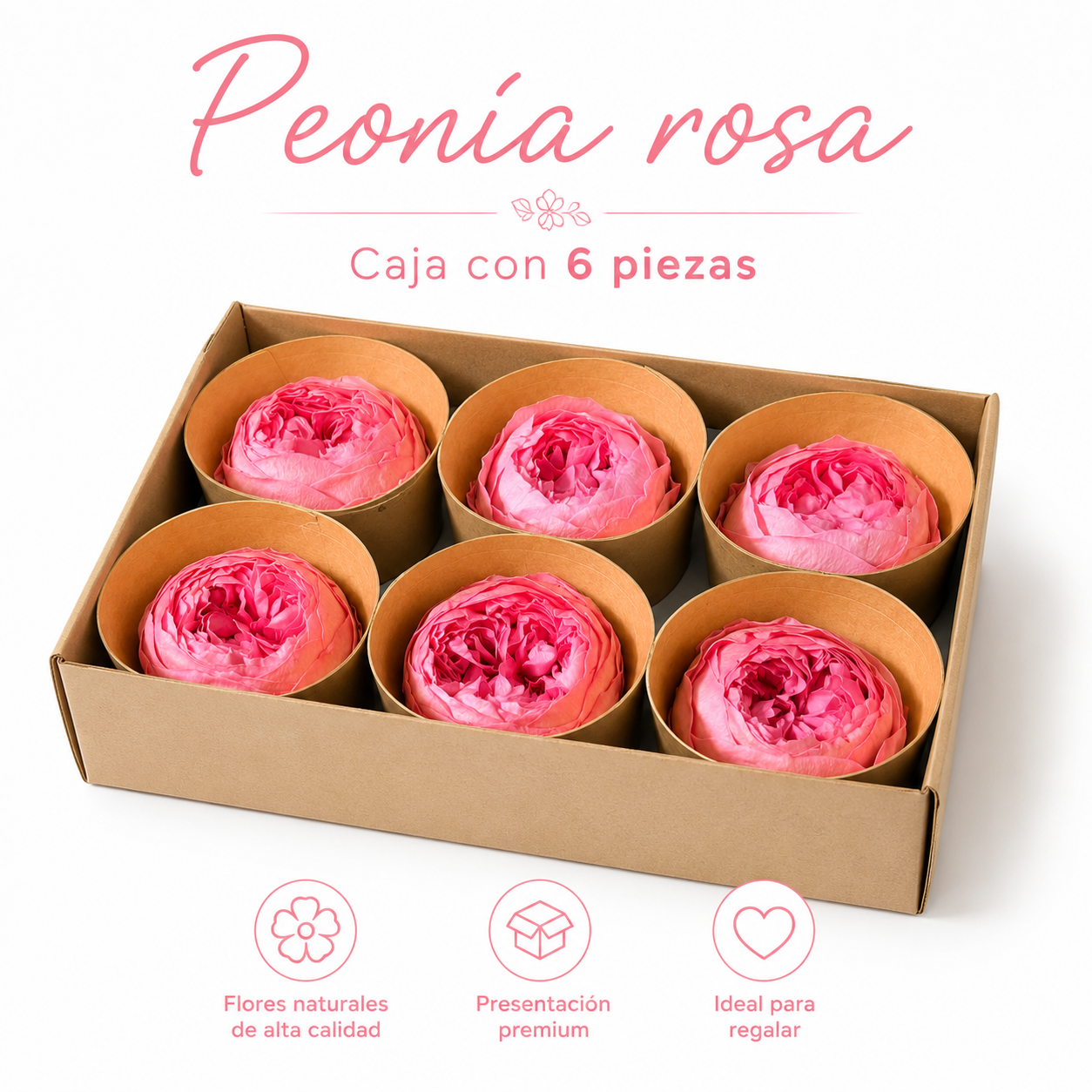 PEONÍAS NATURALES PRESERVADAS ( FLOR ETERNA ) 6 PIEZAS