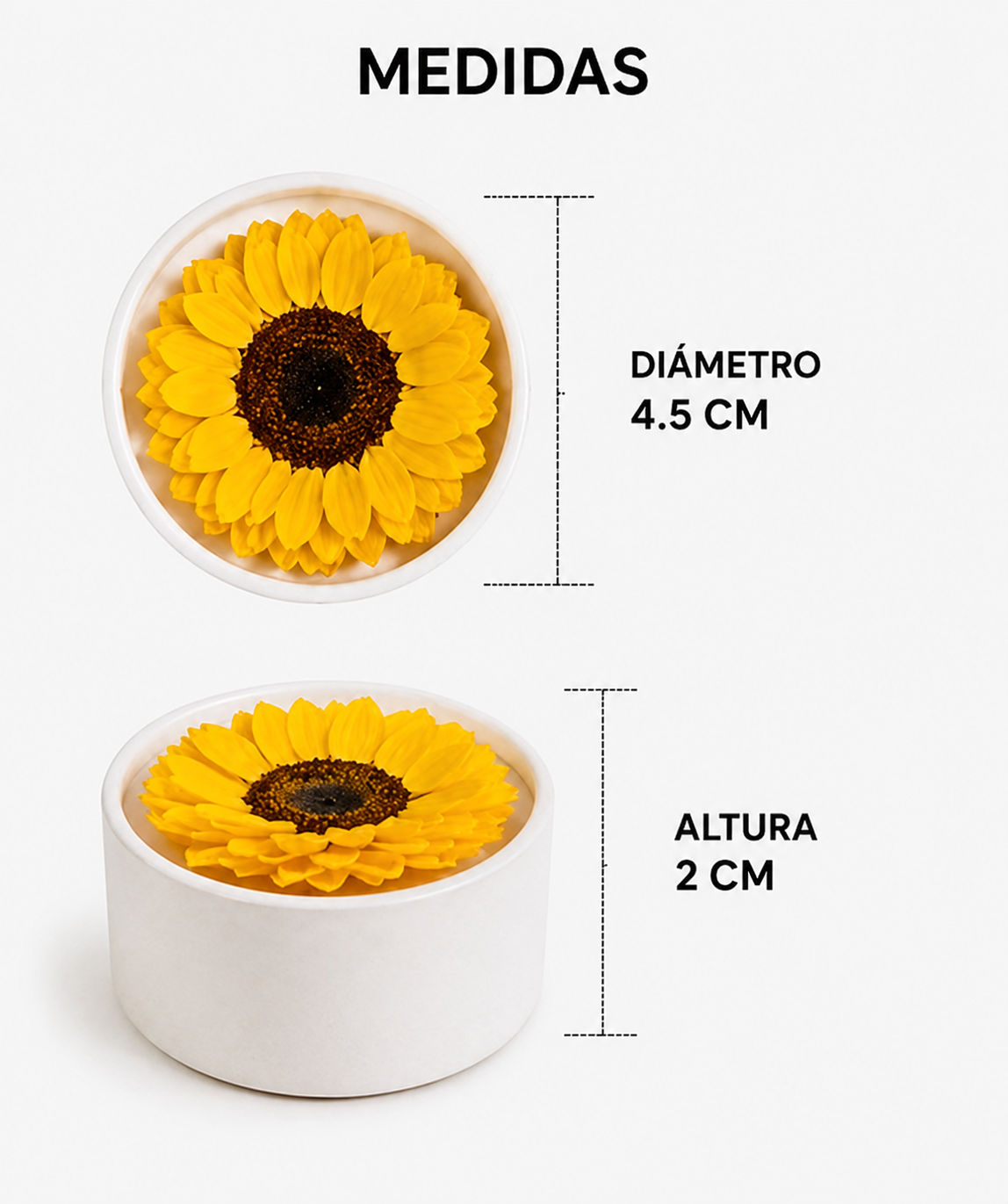 FLOR ETERNA, GIRASOL NATURAL PRESERVADO
