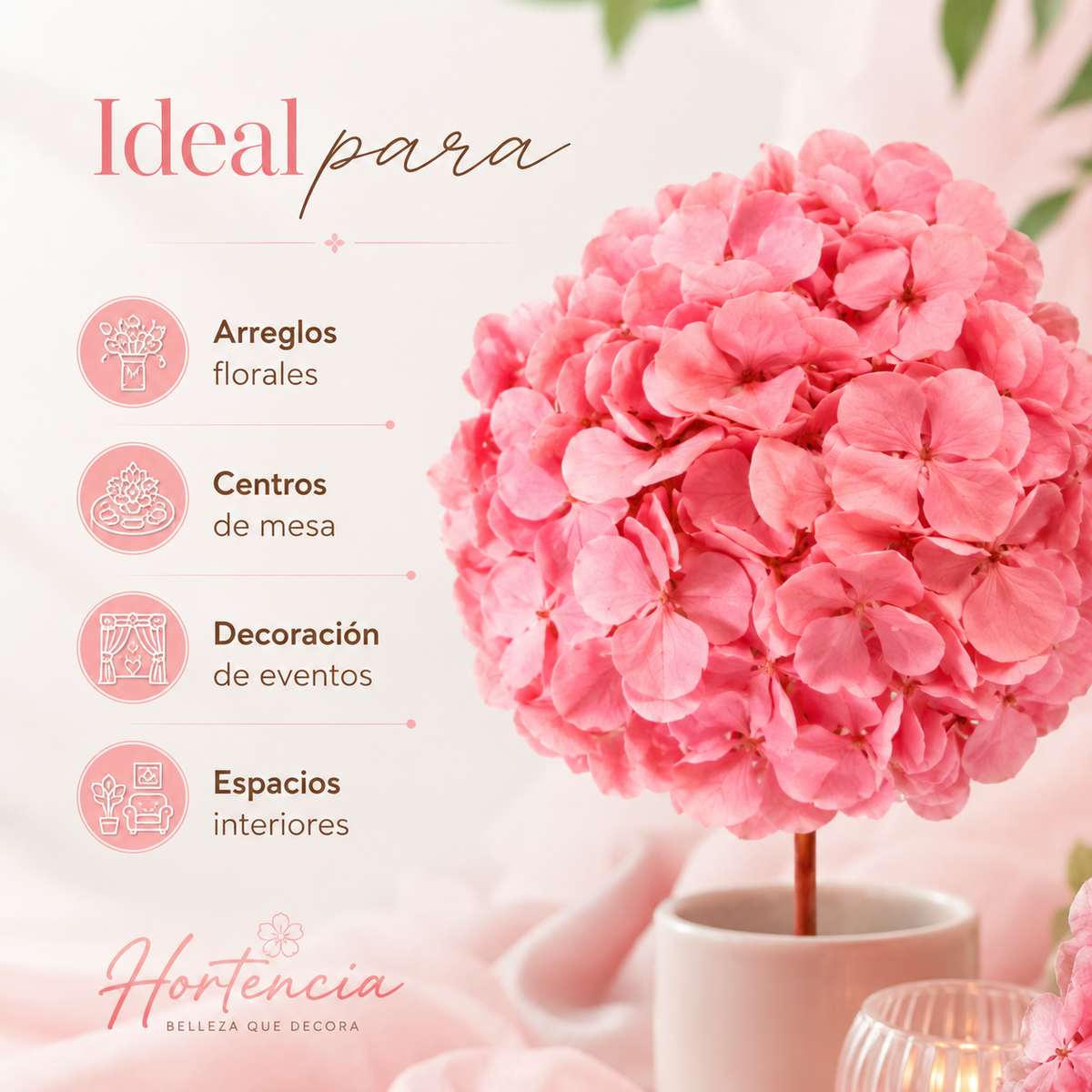HORTENSIA NATURAL PRESERVADA