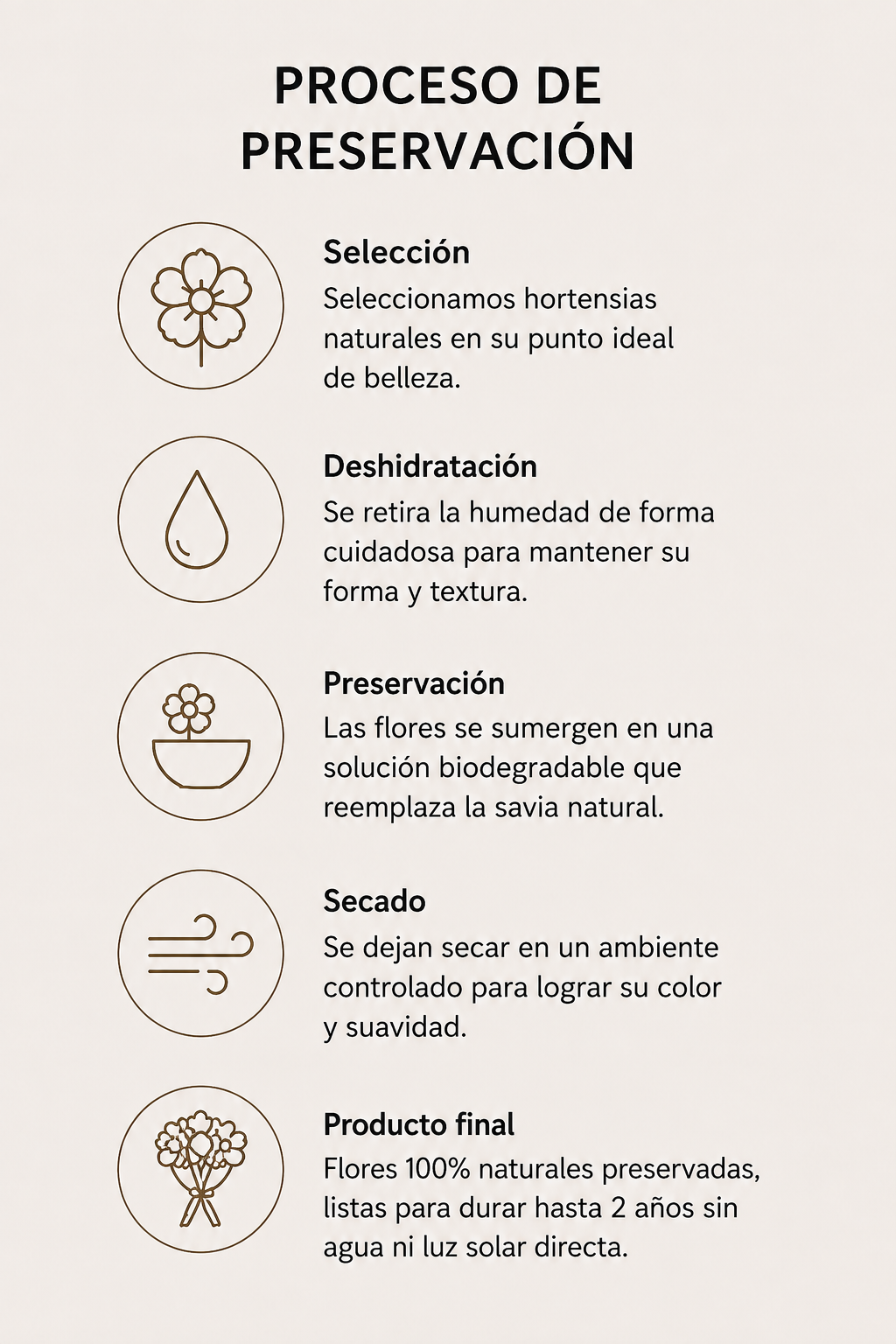 HORTENSIA NATURAL PRESERVADA