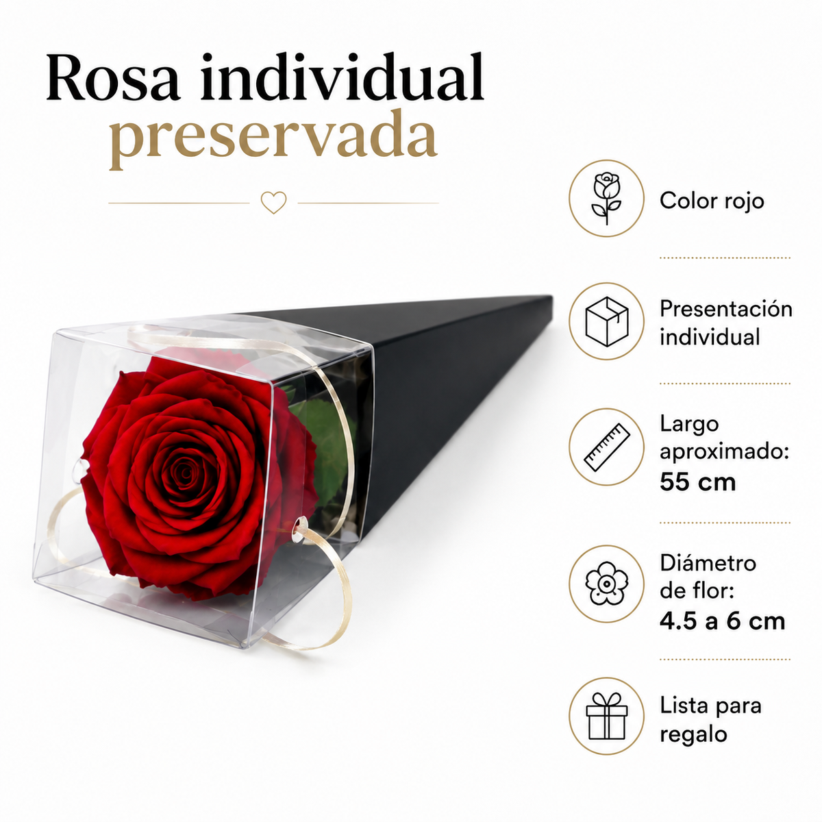 ROSA INDIVIDUAL PRESERVADA EN CONO