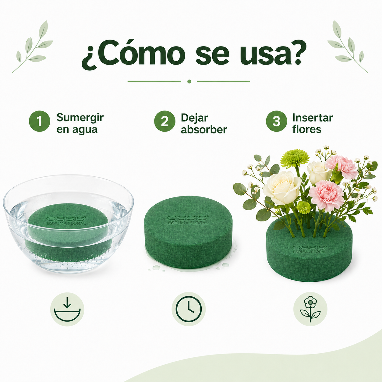 ESPUMA FLORAL OASIS REDONDA ( OASIS )