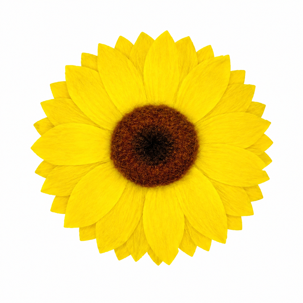 GIRASOL NATURAL PRESERVADO ( FLOR ETERNA )