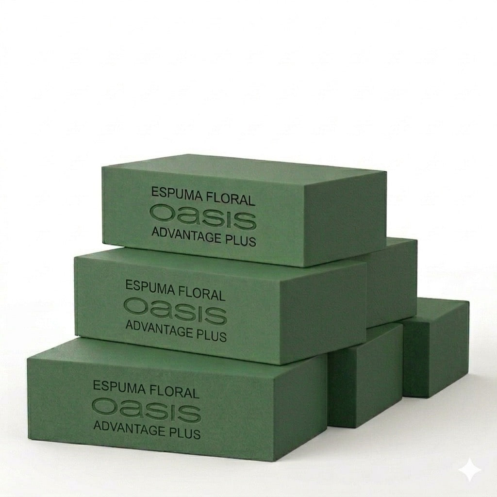 6 Tabiques de Espuma Floral Oasis