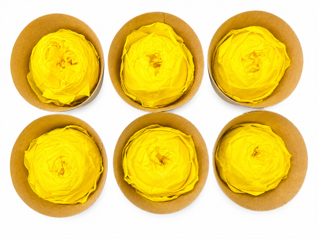 PEONÍAS NATURALES PRESERVADAS ( FLOR ETERNA ) 6 PIEZAS