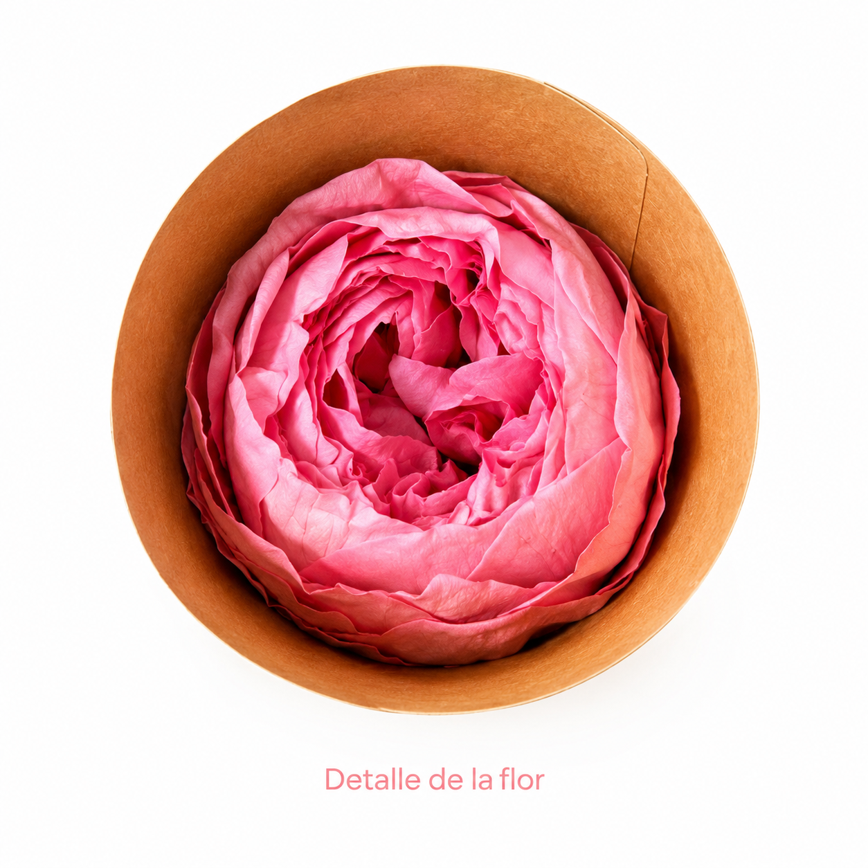 PEONÍAS NATURALES PRESERVADAS ( FLOR ETERNA ) 6 PIEZAS