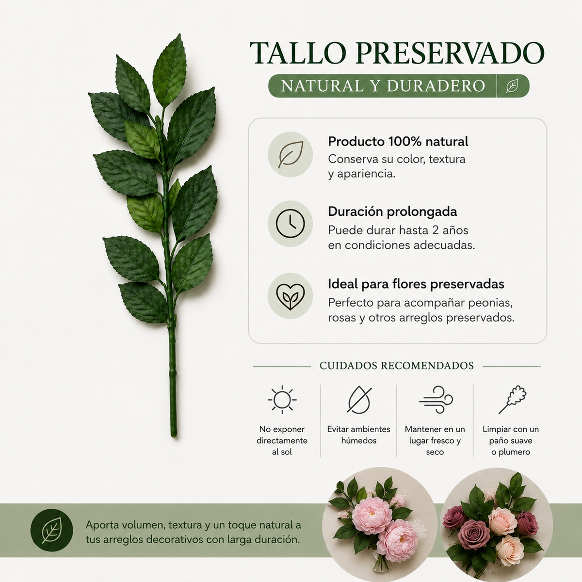 TALLO NATURAL PRESERVADO PARA FLOR ETERNA