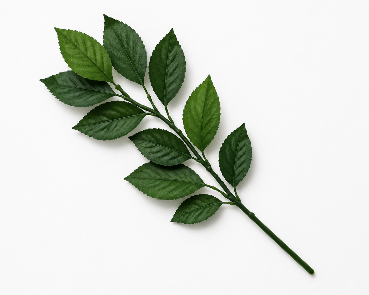 TALLO NATURAL PRESERVADO PARA FLOR ETERNA