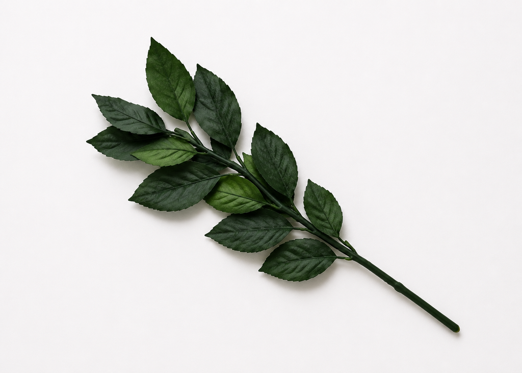 TALLO NATURAL PRESERVADO PARA FLOR ETERNA