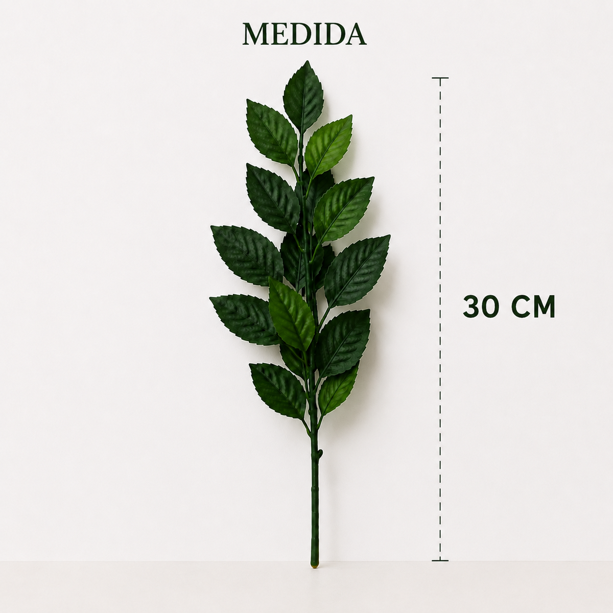 TALLO NATURAL PRESERVADO PARA FLOR ETERNA